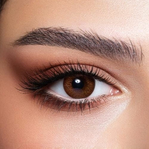 Elite-Cinnamon Brown Contact Lenses